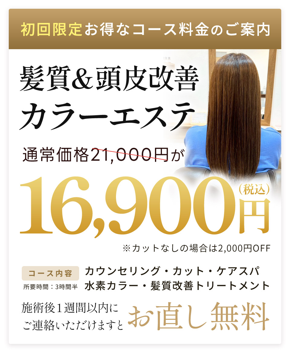 HP限定初回料金