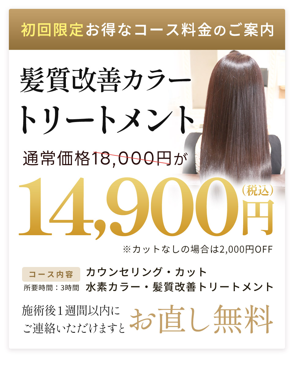 HP限定初回料金
