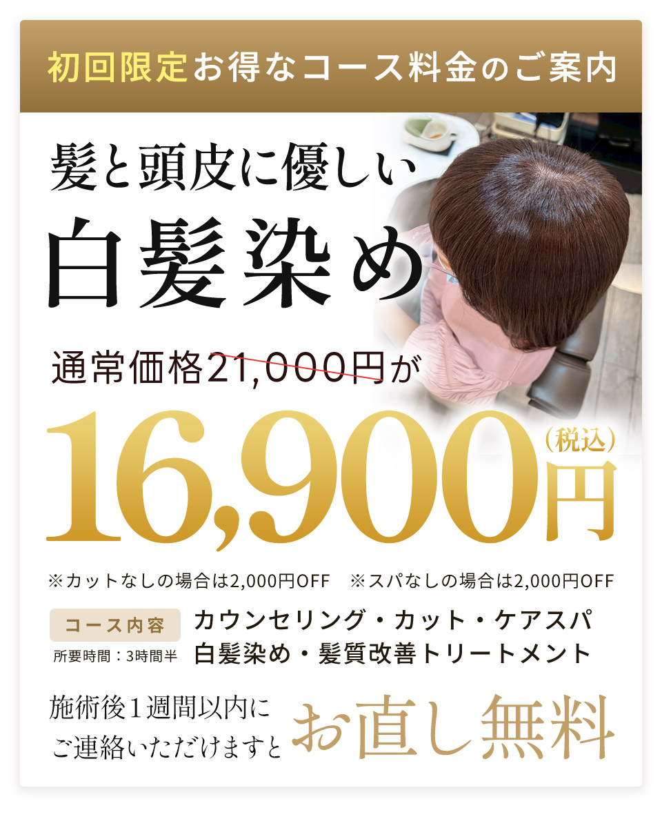 HP限定初回料金