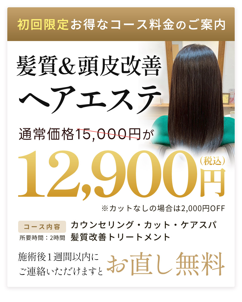 HP限定初回料金