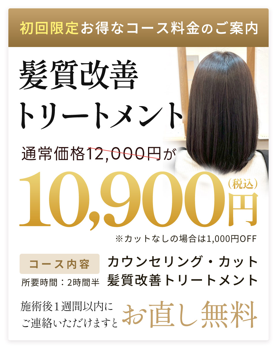 HP限定初回料金
